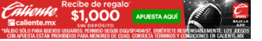 360x50 AMERICANO 1